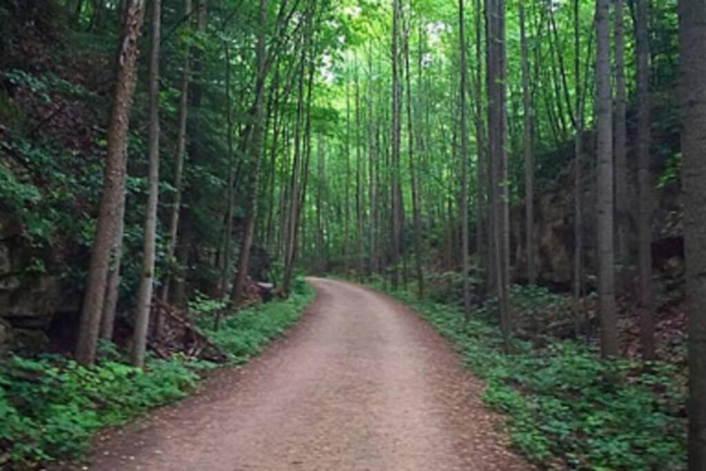 Stay In Ohiopyle Near The Gap Trail - Ohiopyle, Pa Buitenkant foto