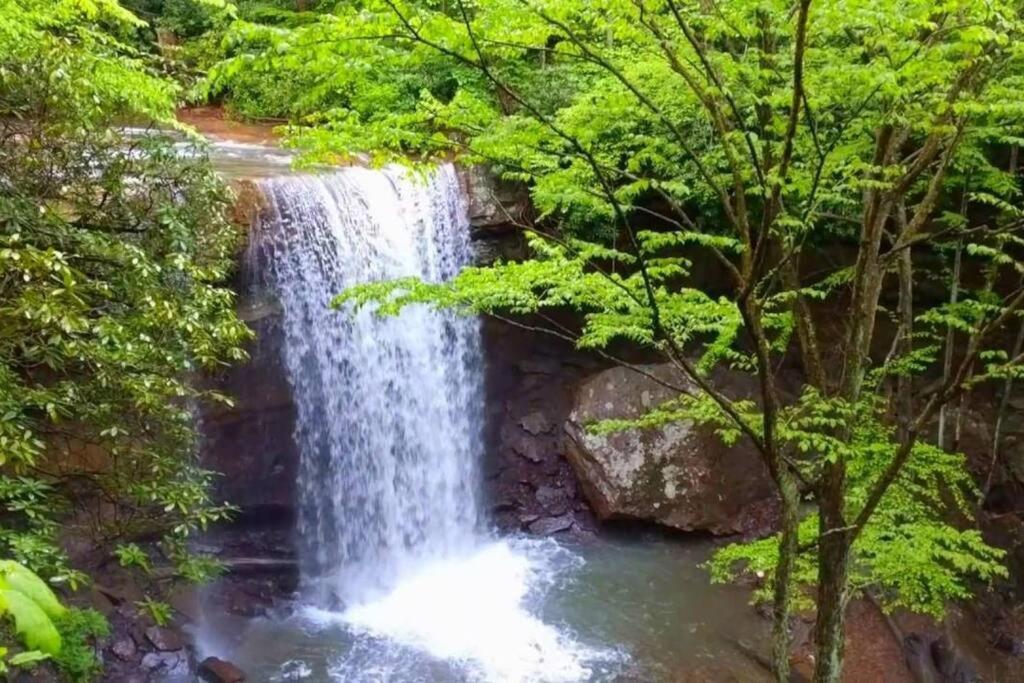 Stay In Ohiopyle Near The Gap Trail - Ohiopyle, Pa Buitenkant foto