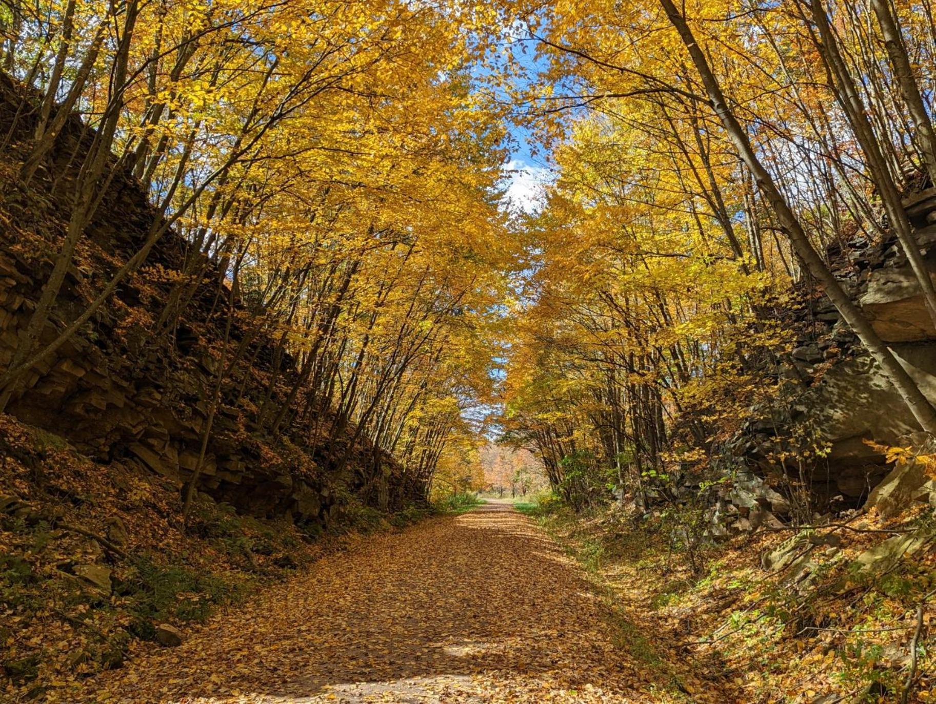 Stay In Ohiopyle Near The Gap Trail - Ohiopyle, Pa Buitenkant foto